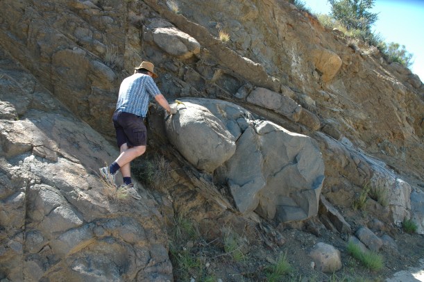 Her ser vi min veileder Bjørn som går løs på forvitret stein med geologhammer.
