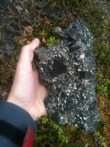 Svart fra mantelen, hvit fra CO2.