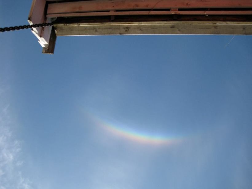 Senitbue i Vesterålen, mai 2014. Foto: Ingrid Larssen