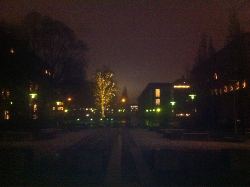 Førjulsstemning på Bllindern