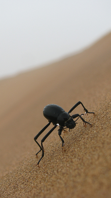 5727784378_89665f9f1c_z